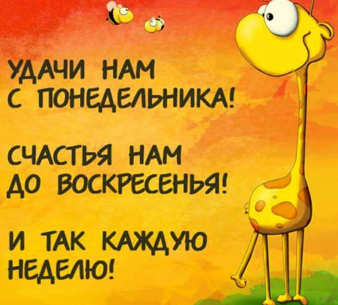 Открытки прикольные для поднятия настроения