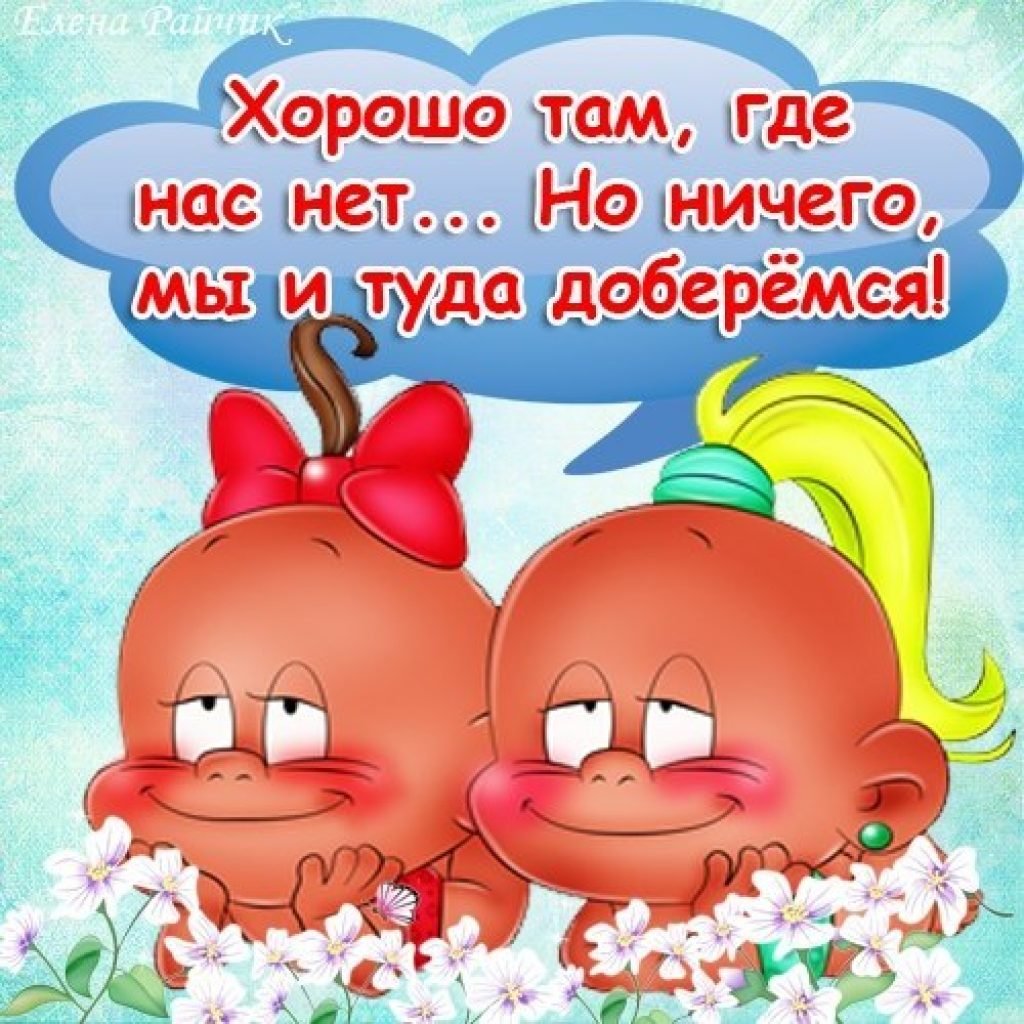 Забавные собаки