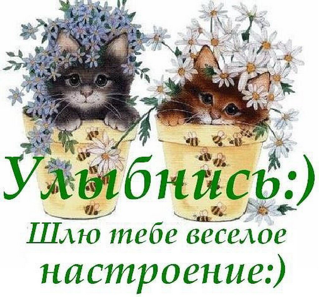 Открытки для поднятия настроения девушке