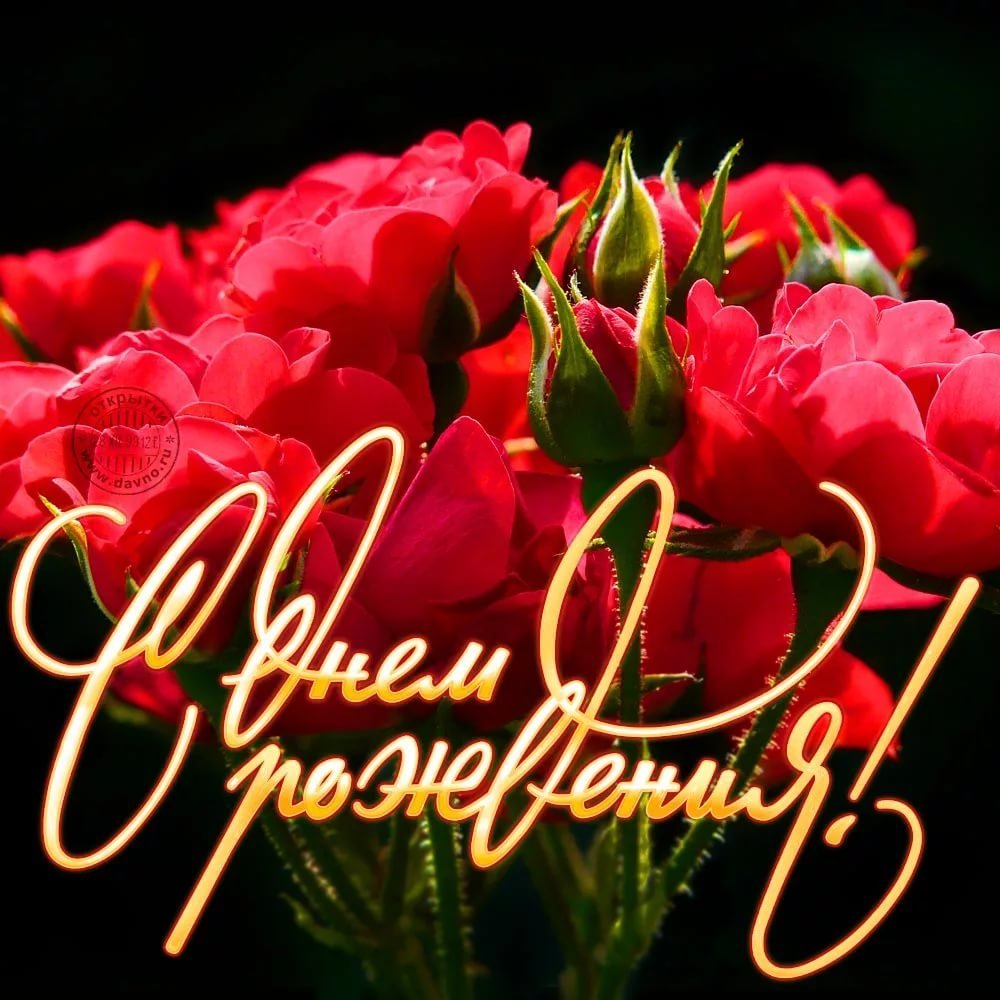 С днём рождения Дима