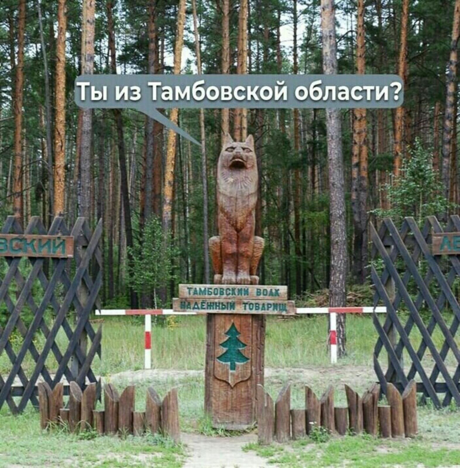 Тамбовский волк скульптура в Тамбове