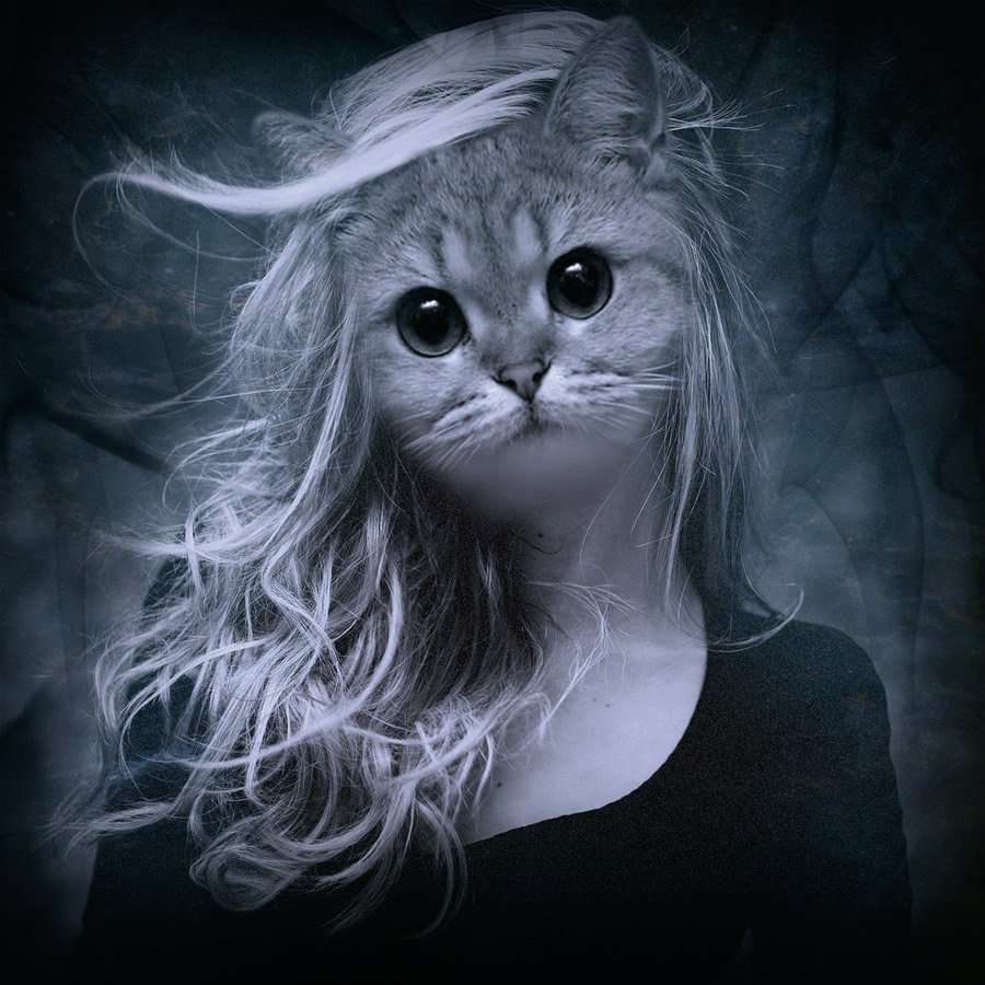 Девушка с кошачьей головой