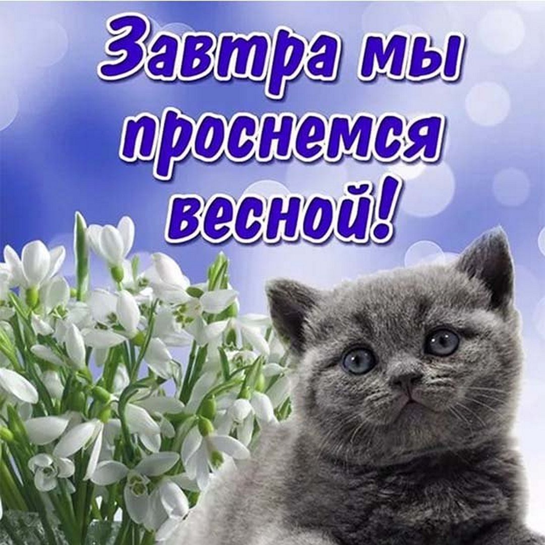 Открытки с весной