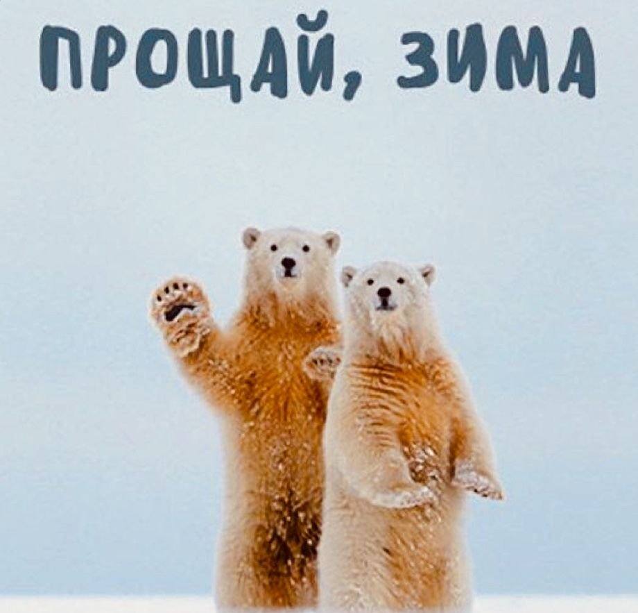 Первый день зимы