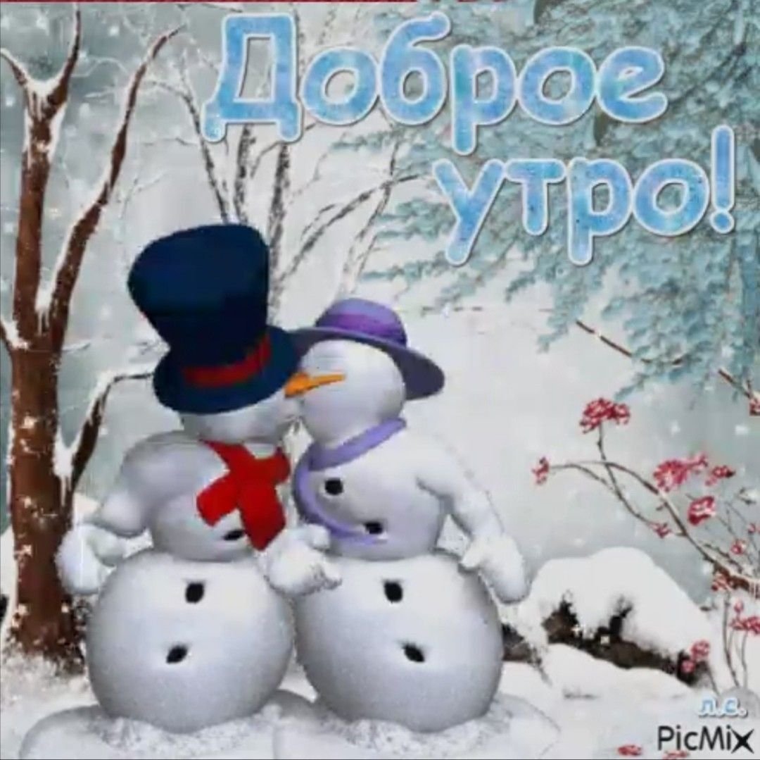 Доброе Снежное утро и хорошего дня