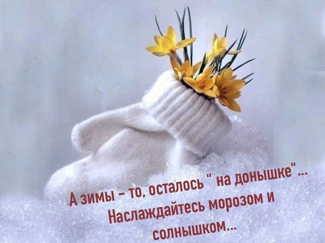 Первый снег