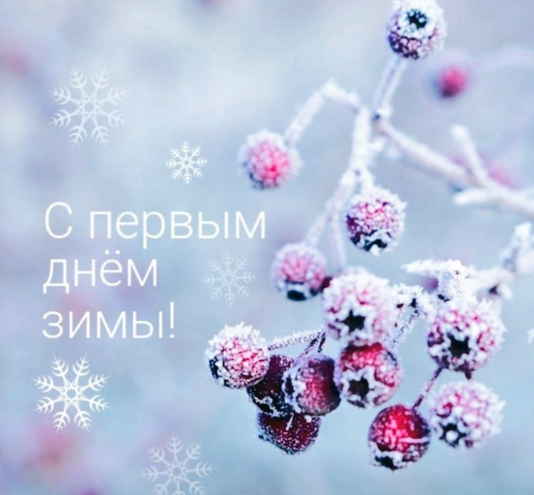 День зимнего солнцестояния