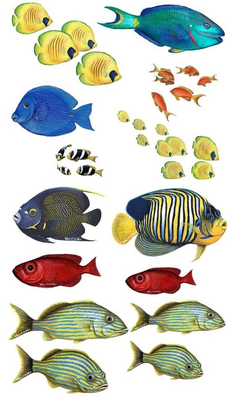 Морские рыбки печать