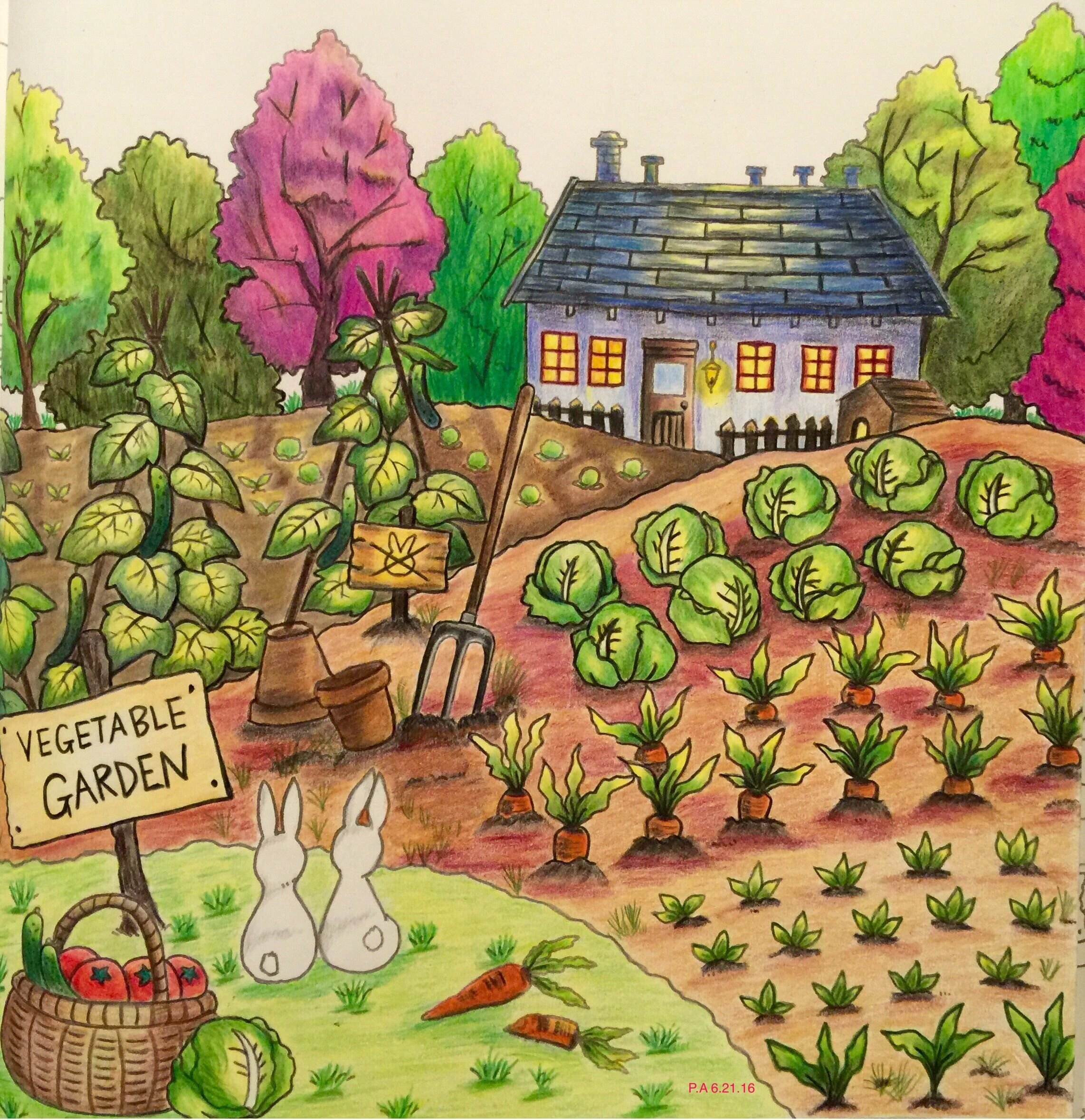 Нарисуем огород там растет два куста ягоды. Огород с овощами для детей. Огород рисунок. Картина огород для детей. Рисунок огород с грядками для детей.
