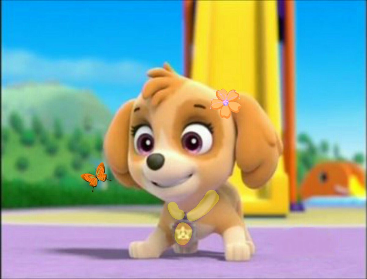 Кокапу Скай Щенячий патруль