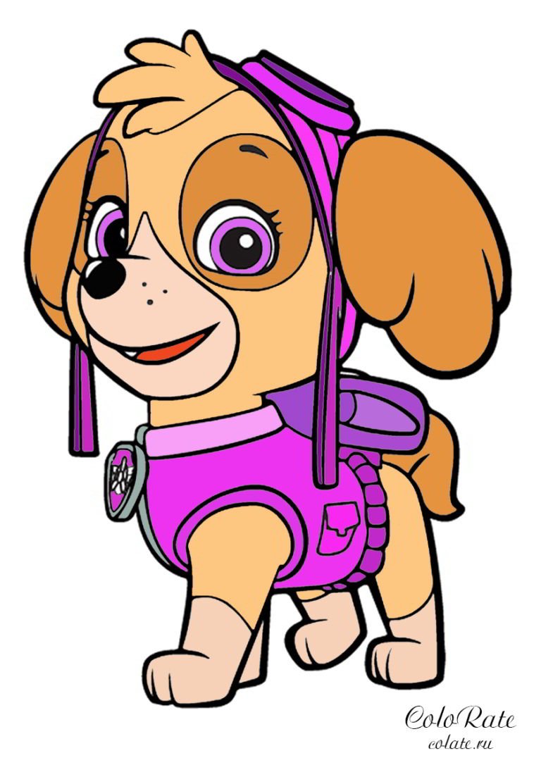 Значок Скай Щенячий патруль