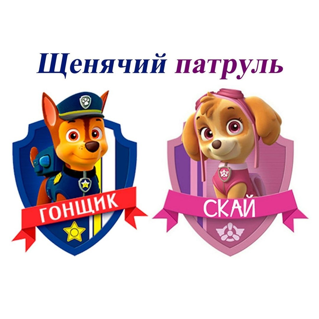 Собачка Скай Щенячий патруль