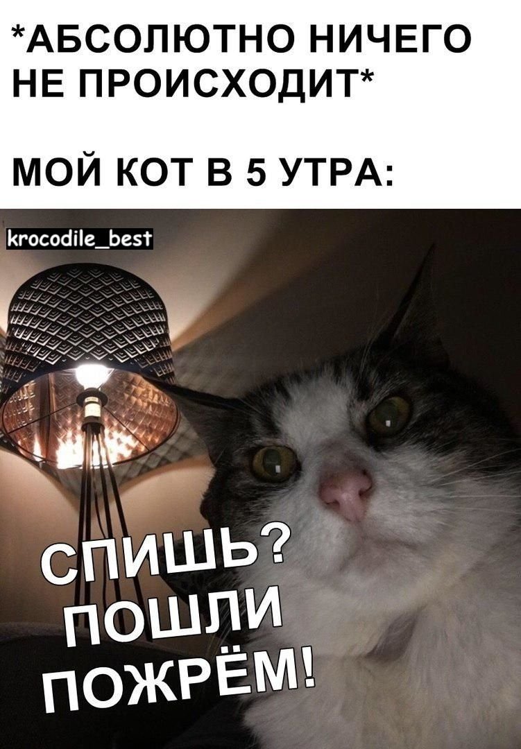 Картинка,, пошли пожреи"