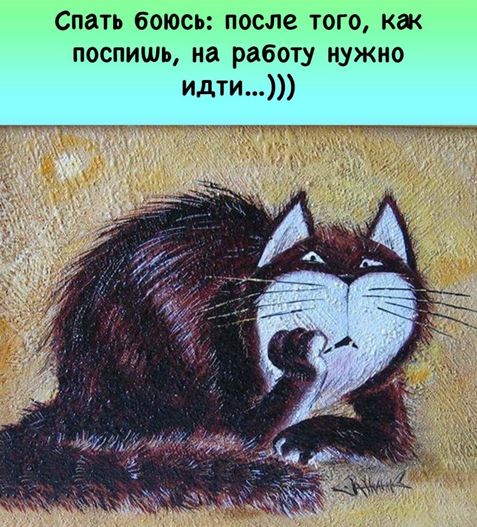 Быстро спать картинки прикольные смешные