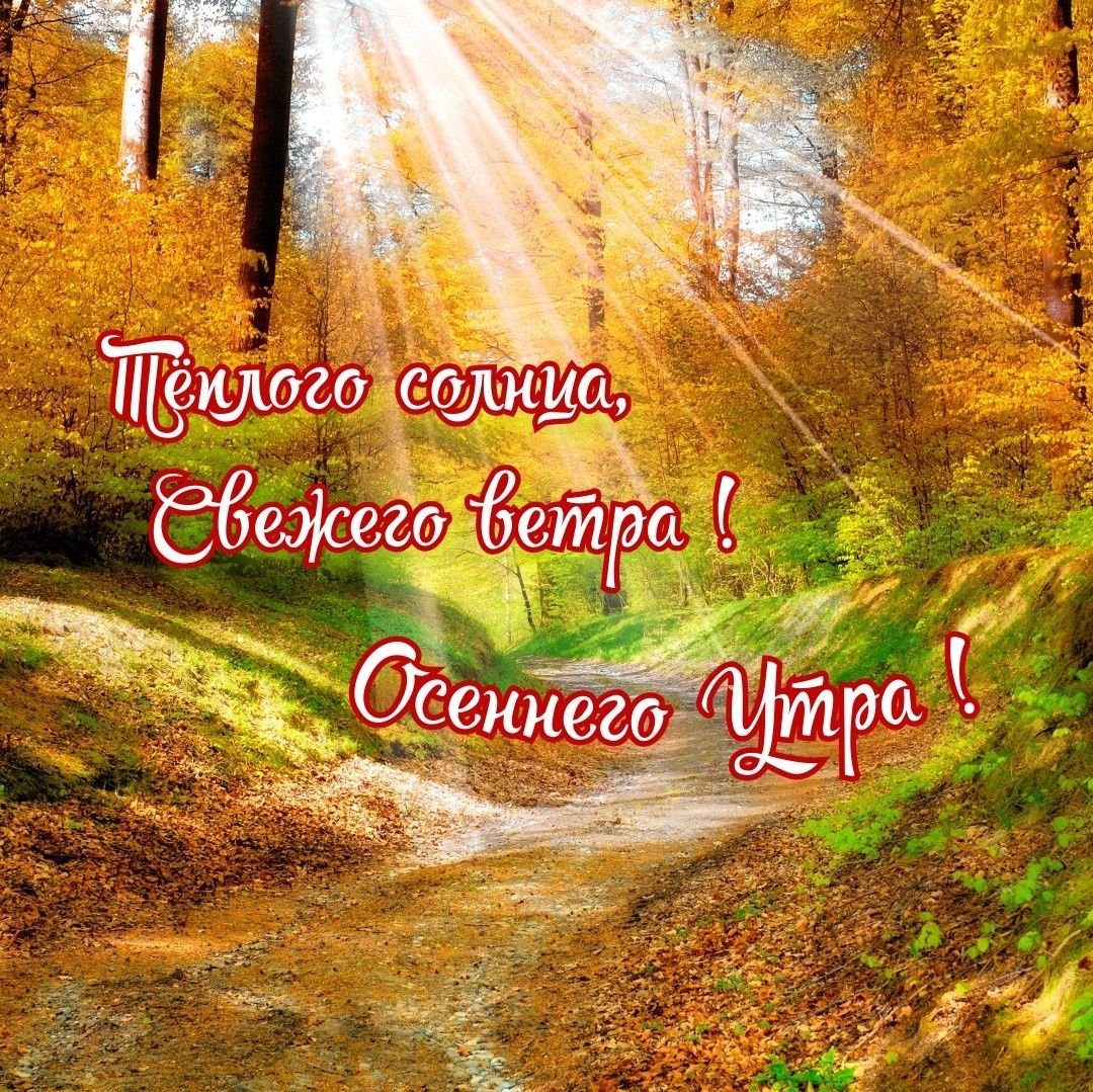 Доброе утро Золотая осен