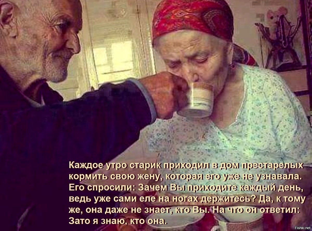 Не за красоту в тебя влюбился и не за старость разлюблю