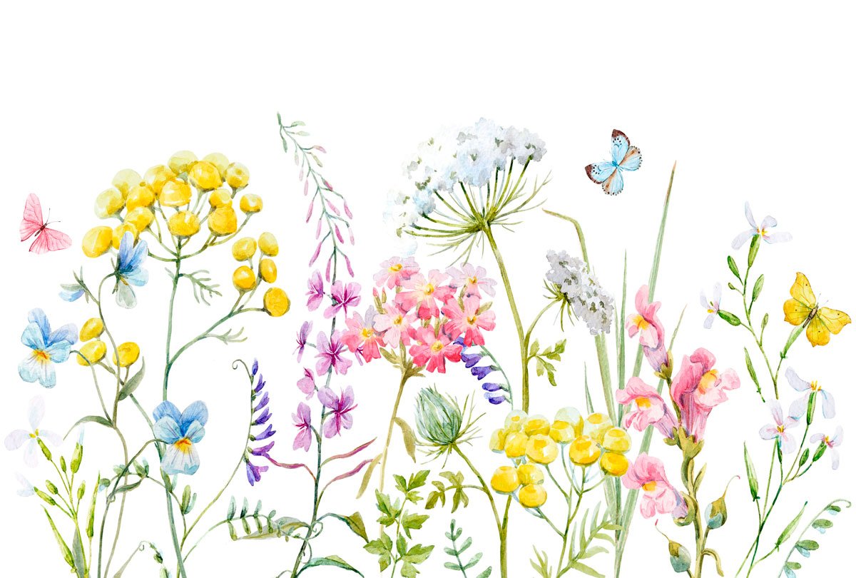 Трава иллюстрация