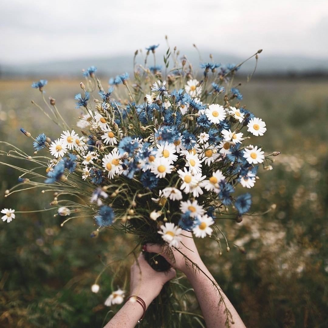 Полевой букет в руках