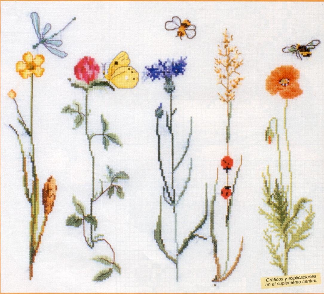 Зарисовки мелких растений