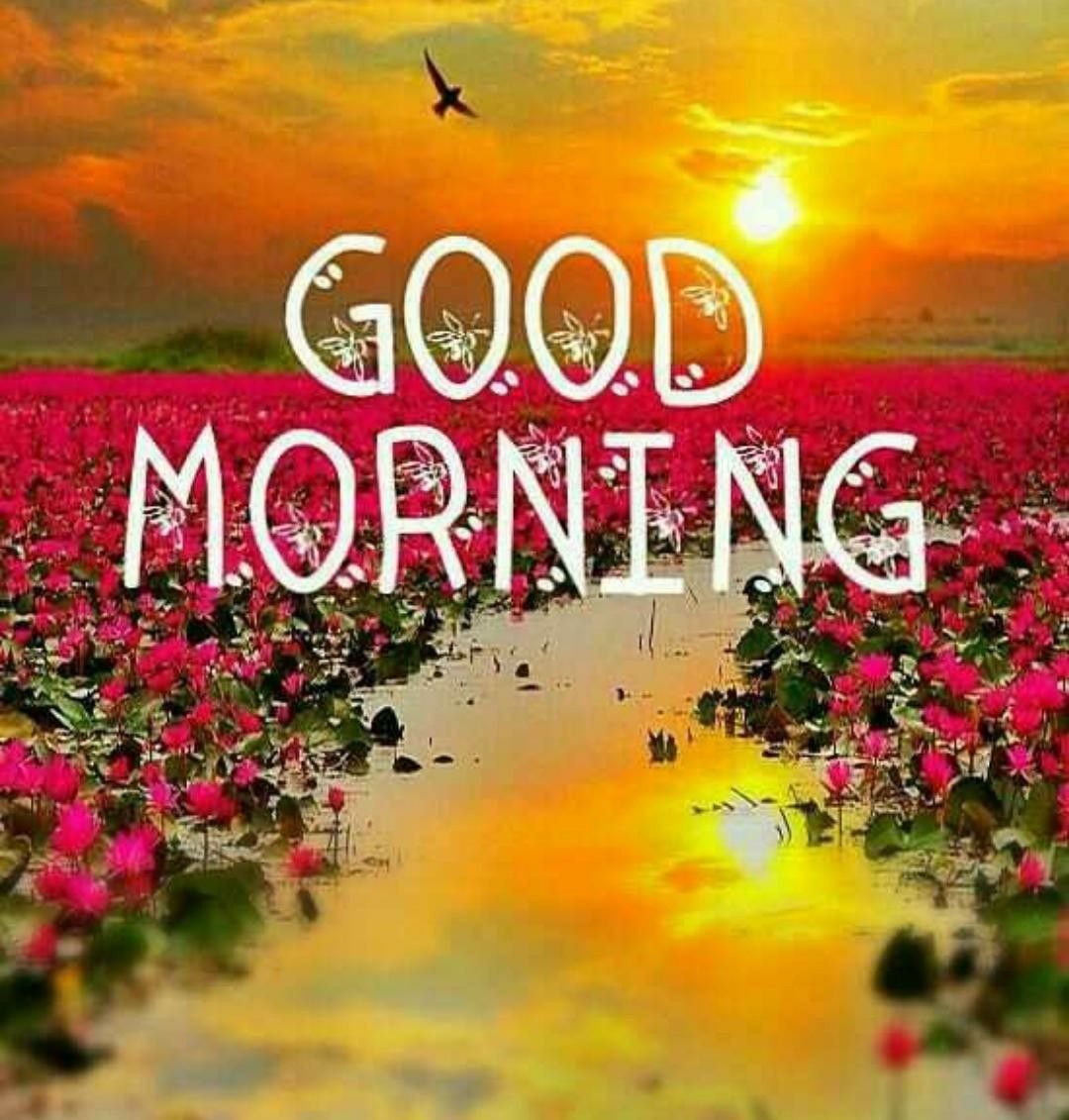 Картина good morning