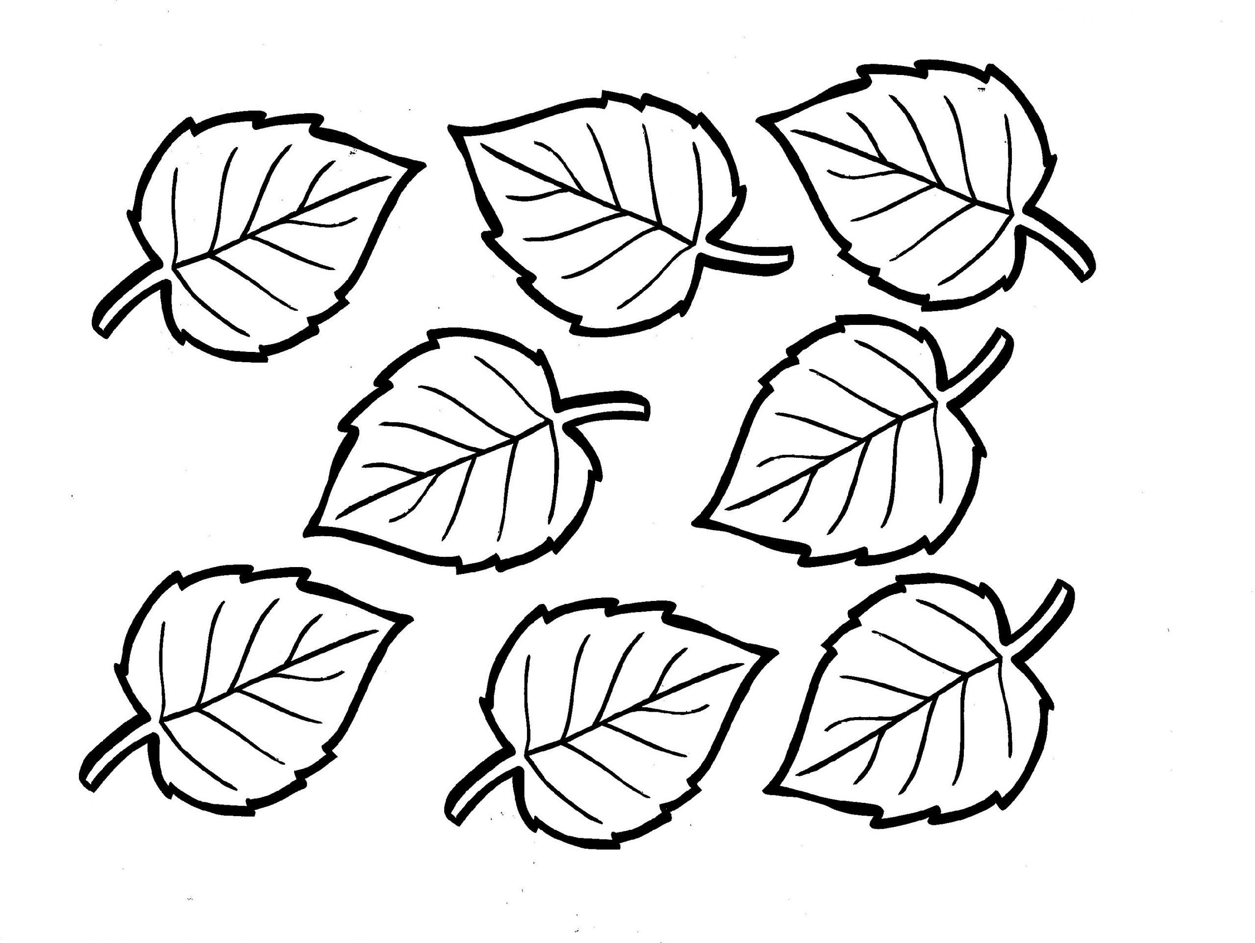 картинки раскраски листья деревьев для детей