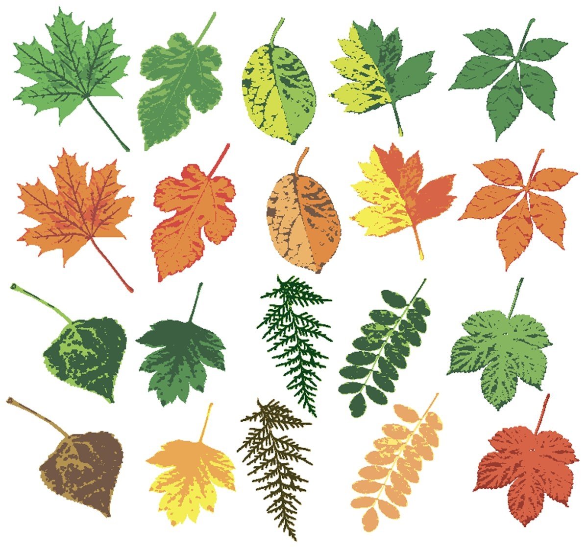 Листья осенние и летние
