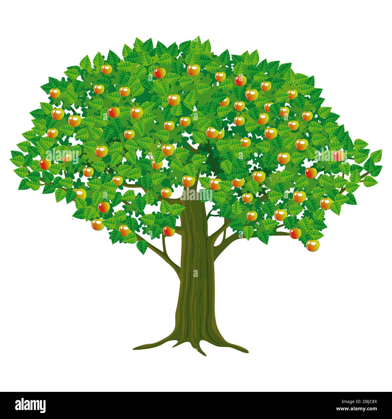 Яблоня с зелеными листочками без яблок картинка