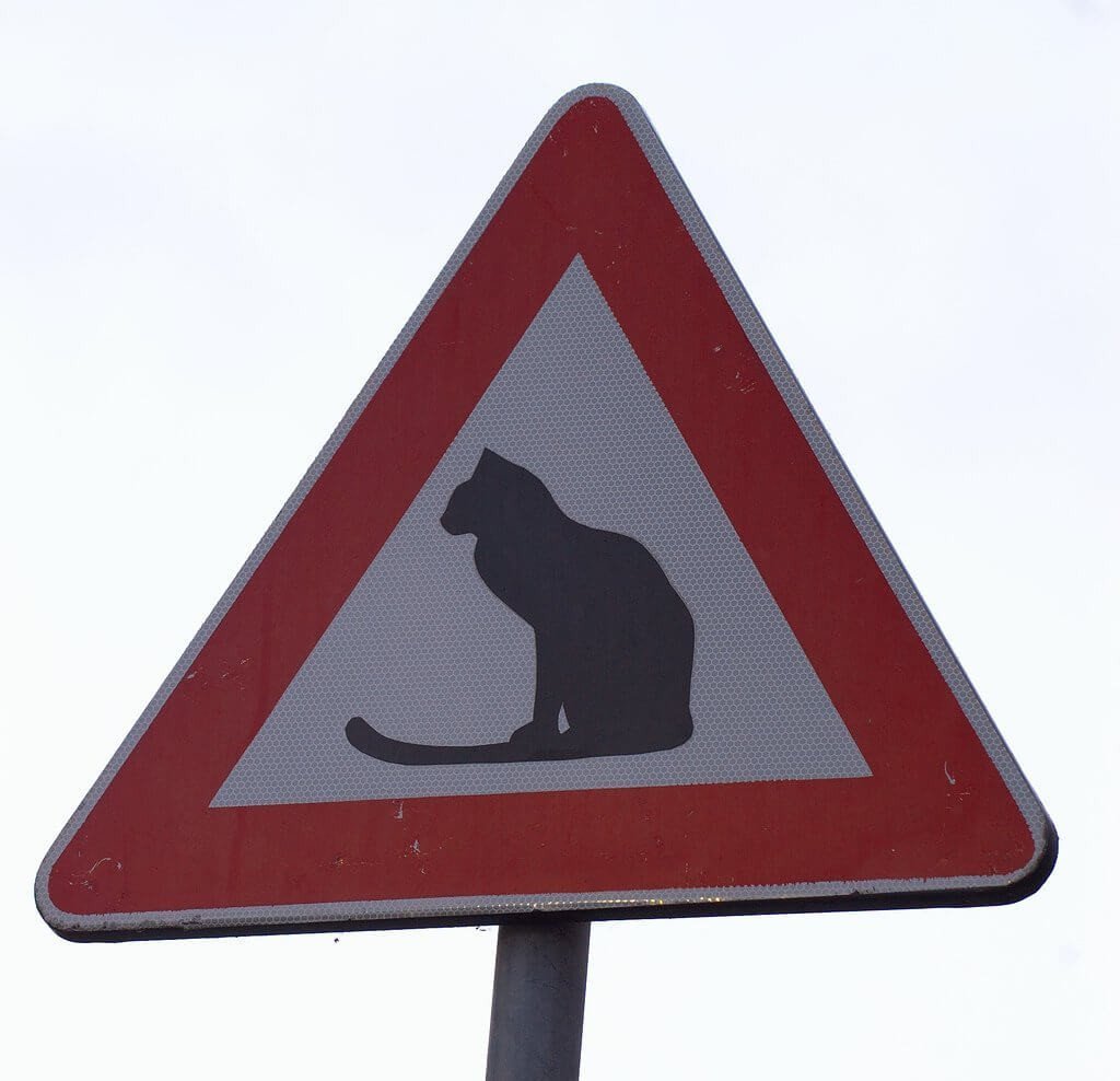 Смешные знаки на дорогах