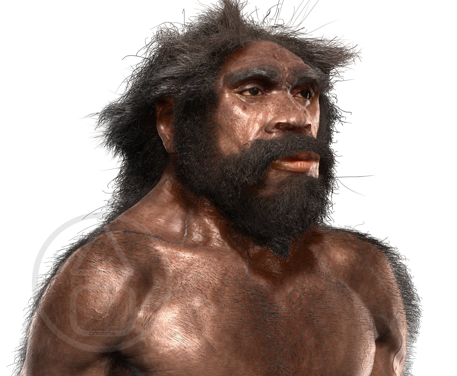 Гейдельбергский человек и неандерталец