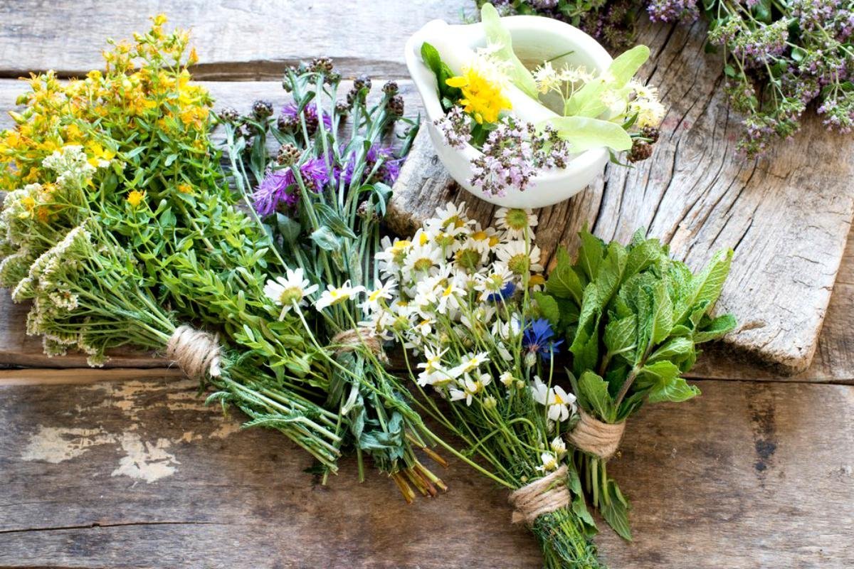Букет из лекарственных растений
