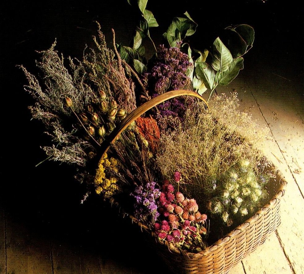 Ведьминская Эстетика травница