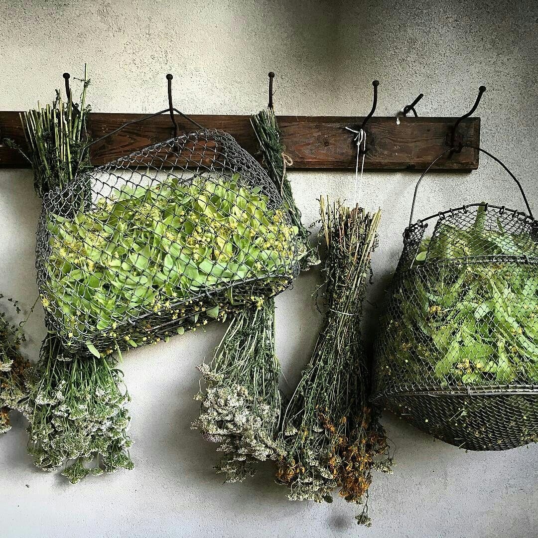 Сухая трава