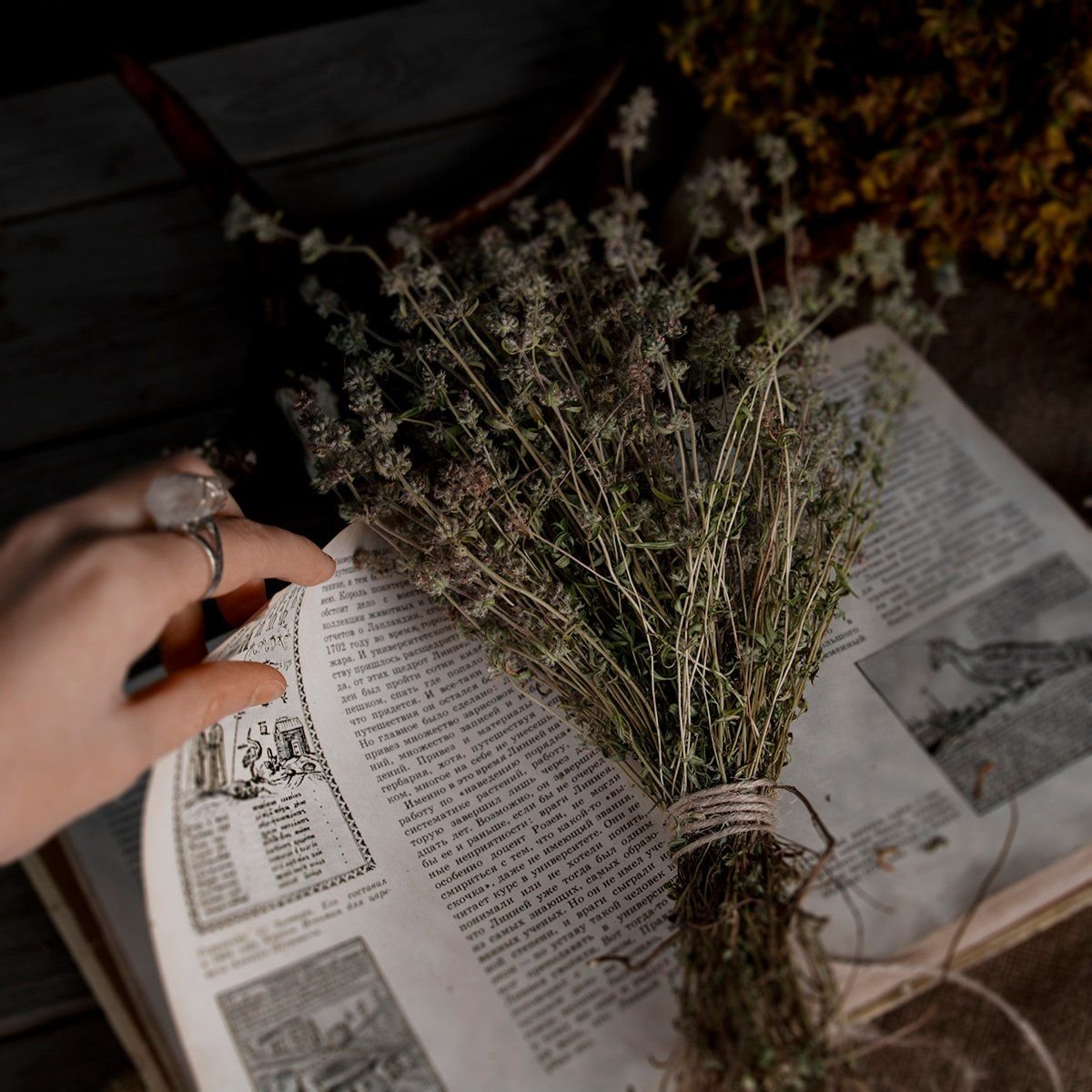 Магические травы