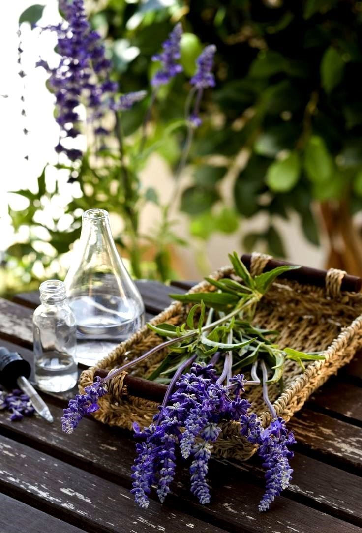 Лечебные травы