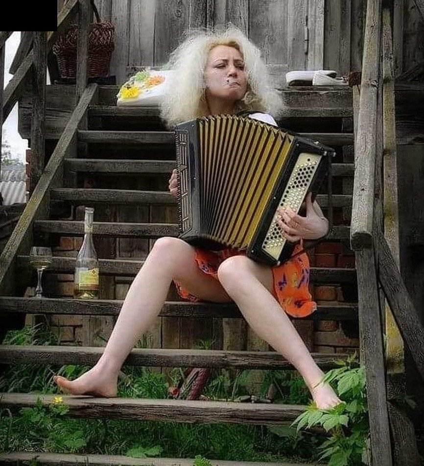 Девушка с баяном прикол