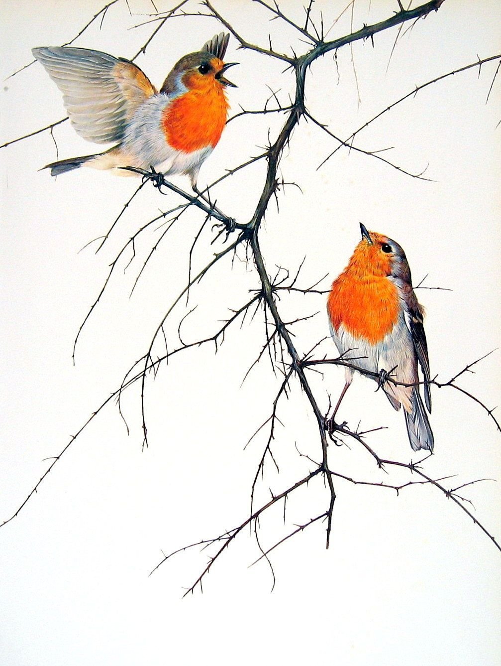 Минимализм в живописи птицы