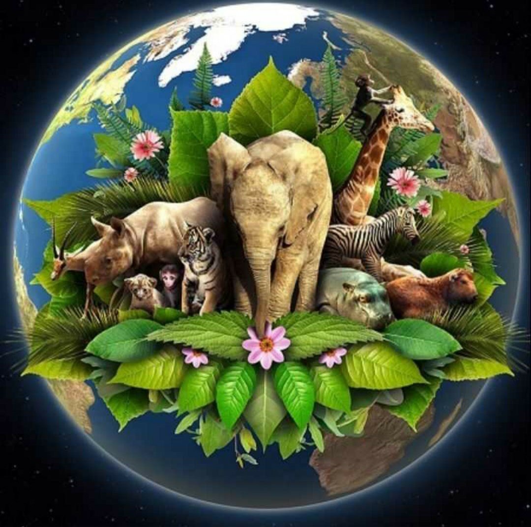 Планета животных