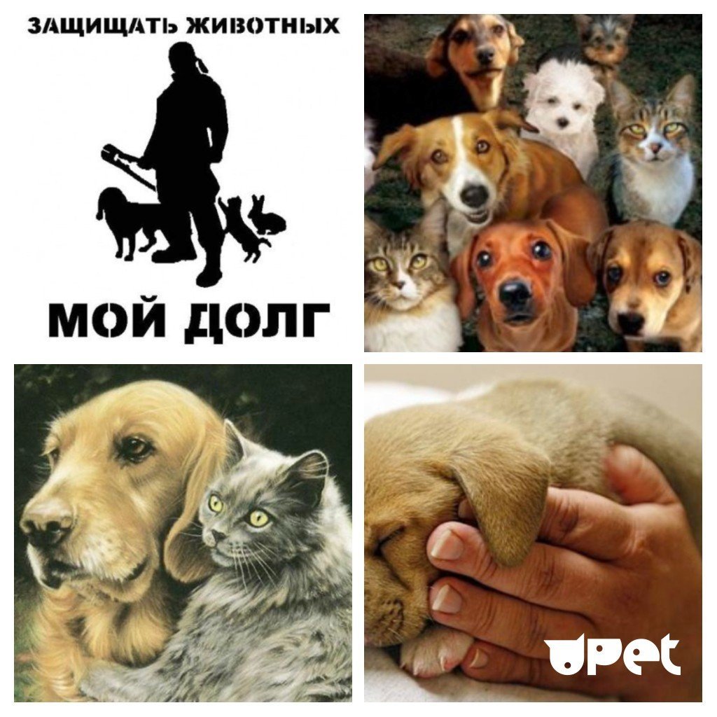 Всемирный день среды обитания