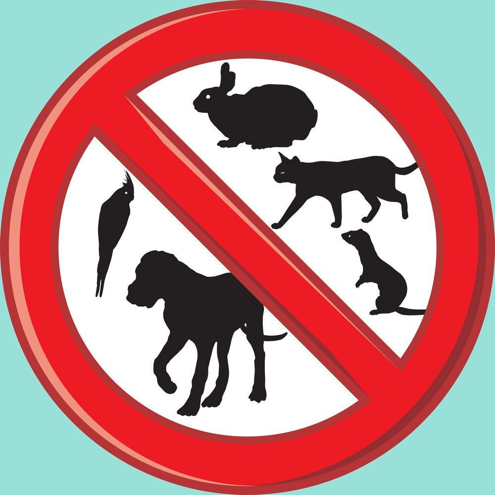 День дикой природы 3 марта