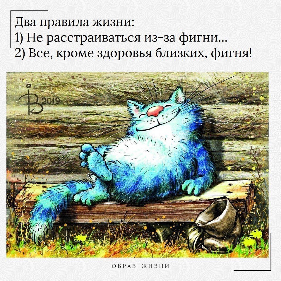 Голубые коты Ирины Зенюк 2018