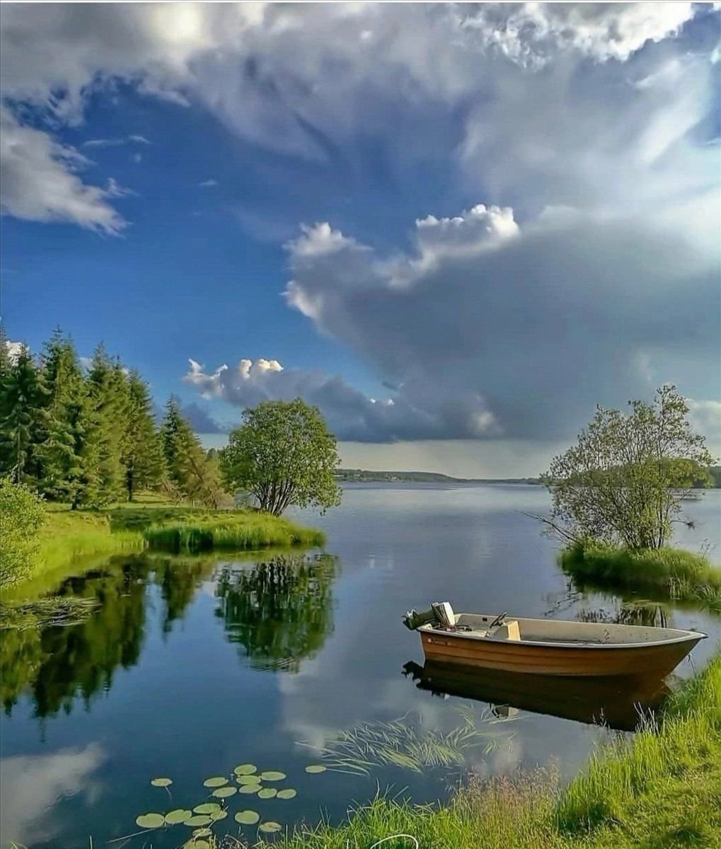 Летняя природа