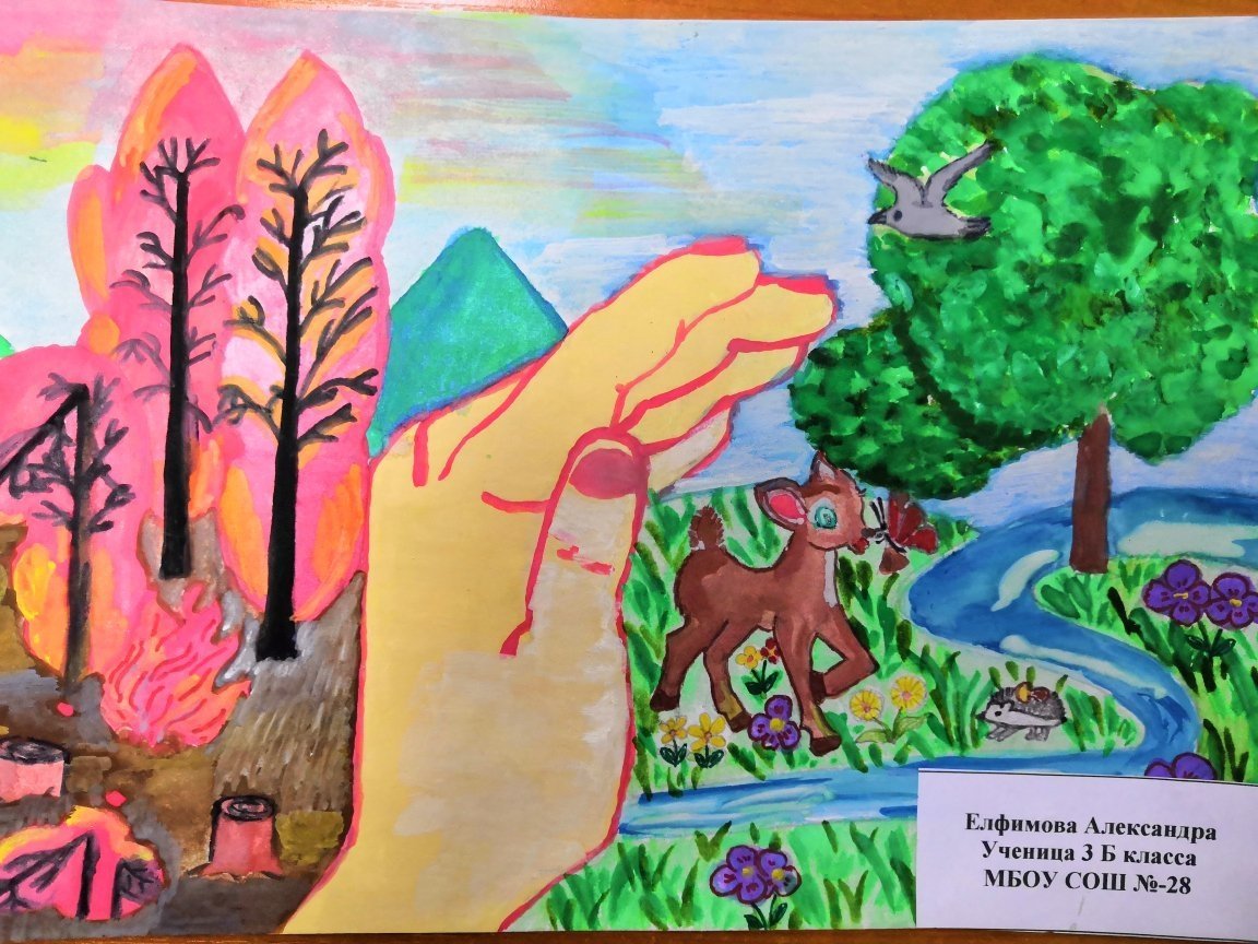 День леса рисунки детей