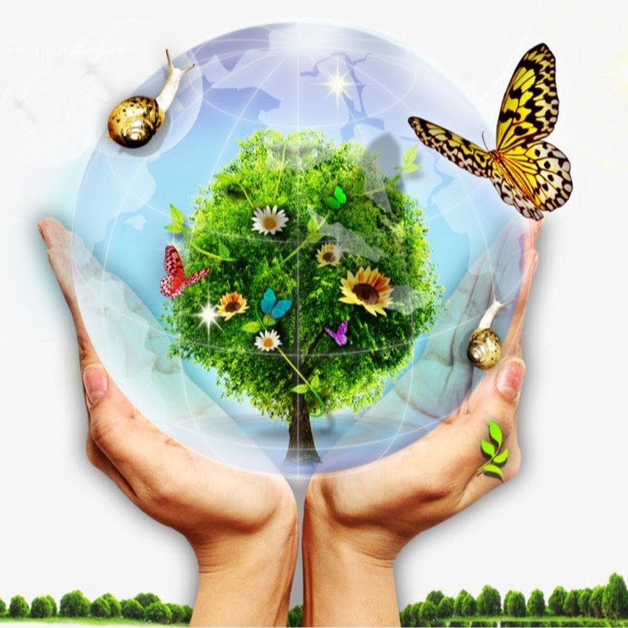 Защита окружающей среды