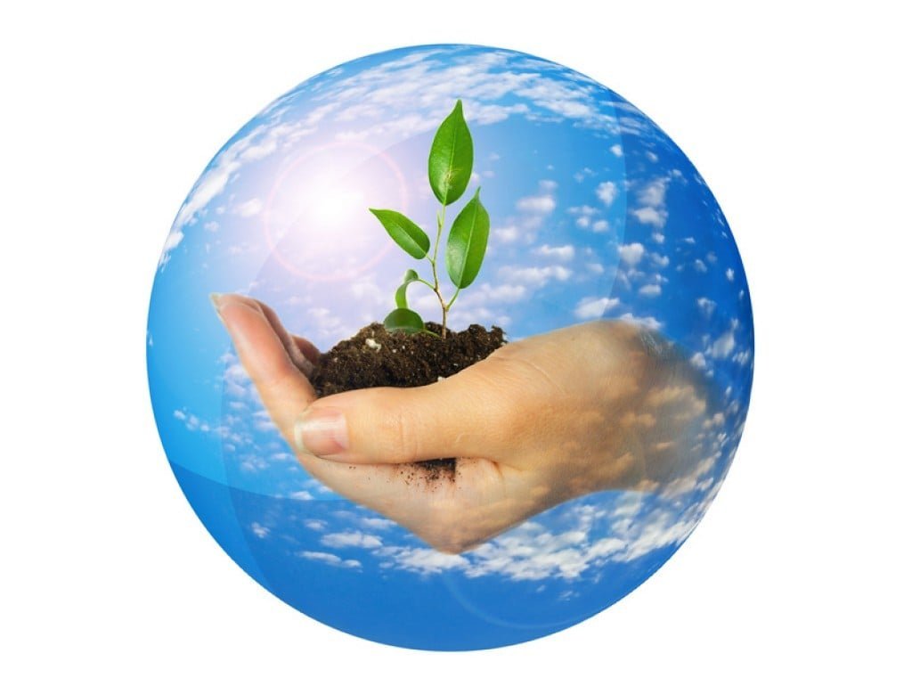 Сохраним живую природу