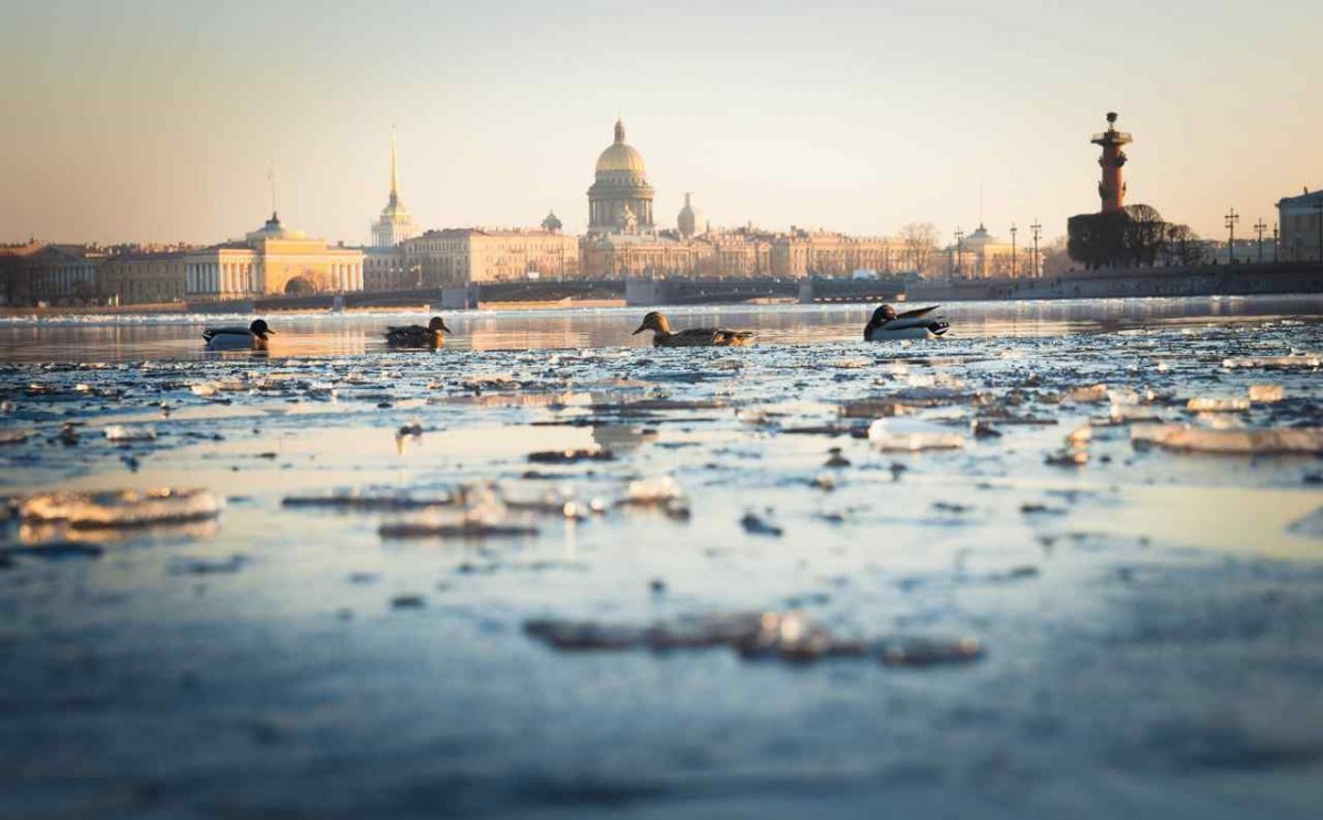 Нева климат Санкт-Петербург