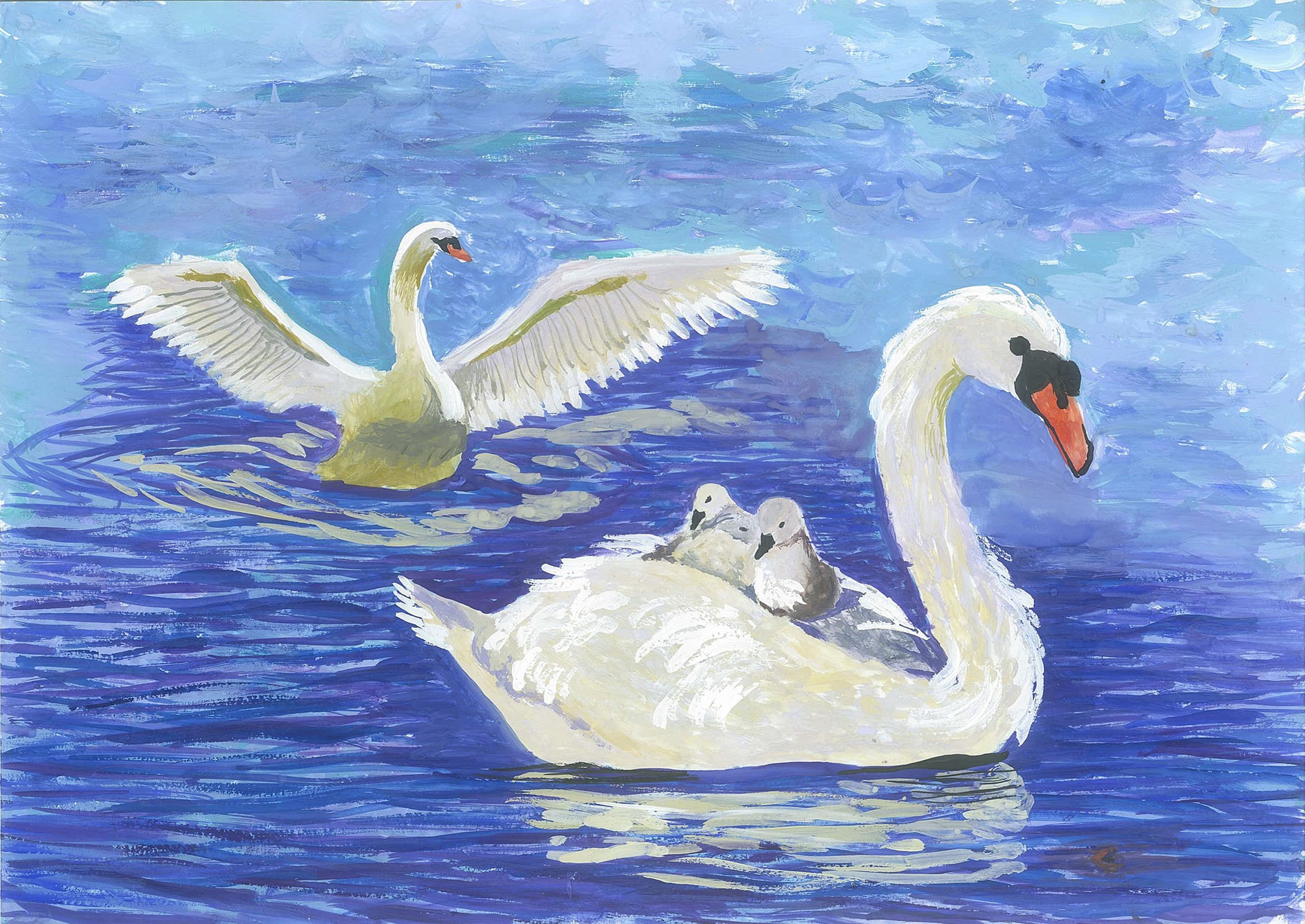 Есенин лебедушка иллюстрации. Лебёдушка Есенин 4 класс. Лебедь рисунок. Рисование лебедя.