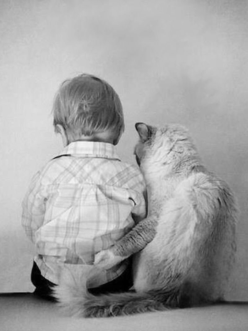 Поддержать друга картинки