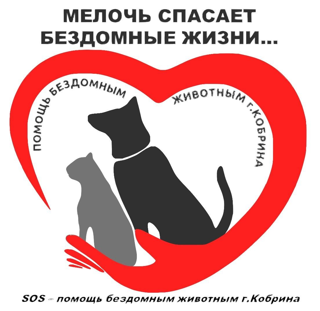 Эстетика бездомных собак