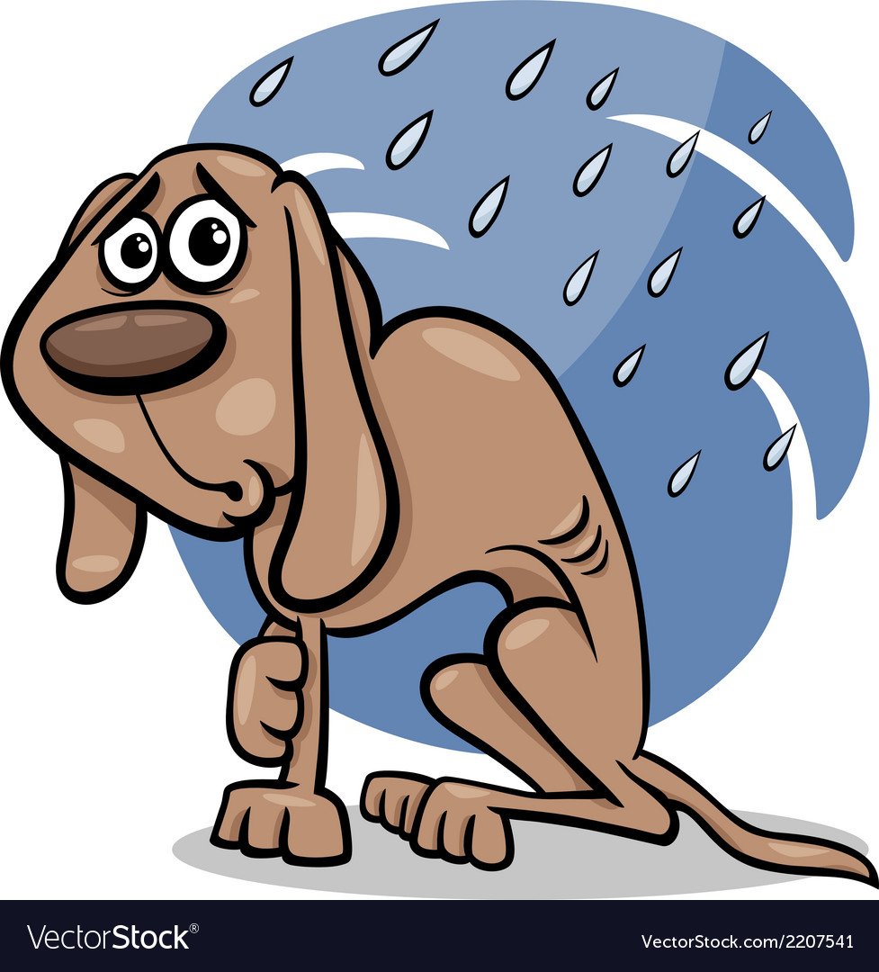 Логотип приюта для животных