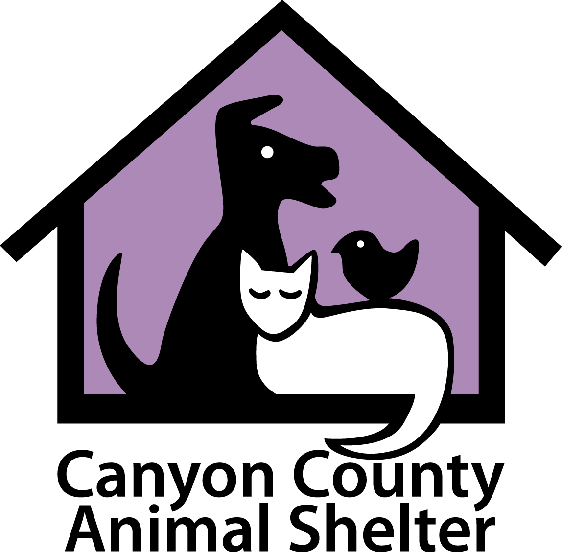 Мокрые мультяшные собаки